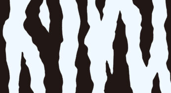 ニフレルクイズの答えha?！翻弄された回答者たち…