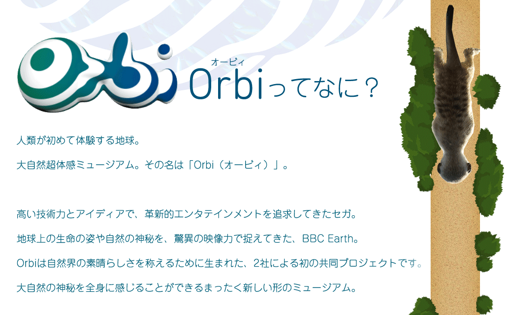 orbi05