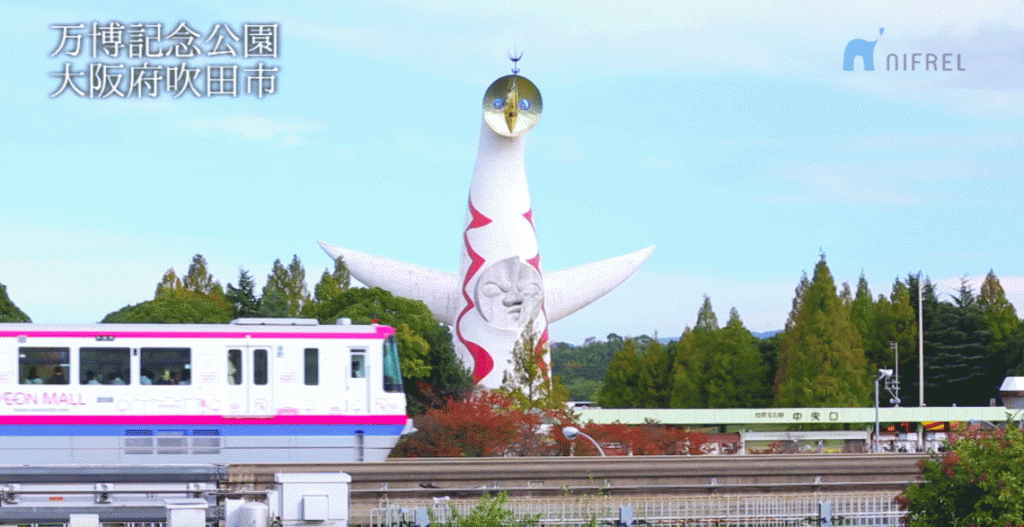 ニフレルnifrel01