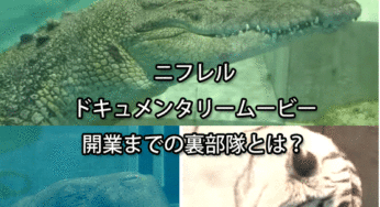 ニフレル動画がリリース！開業までの道のりとは？