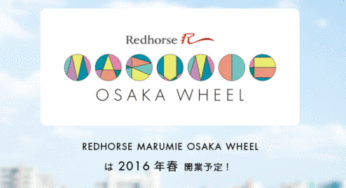 エキスポシティ大観覧車施工状況（オオサカホイール）