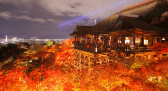 清水寺ライトアップ期間2016秋紅葉拝観料は？いつまで？