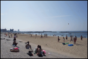 ぴちぴちビーチ潮干狩りバーベキュー