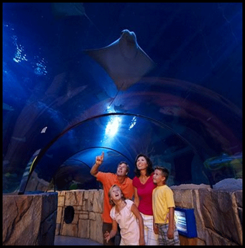 レゴランド水族館口コミ