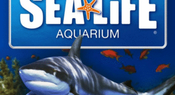 レゴランドシーライフ水族館の開業はいつ？内容は？