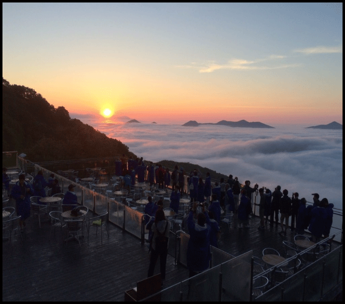 雲海テラストマム時期