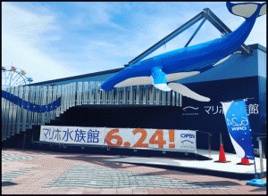 マリーナホップ水族館口コミ