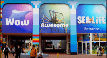 レゴランド水族館の営業時間チケット入場料は？シーライフに定休日はある？